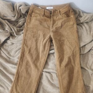 PacSun Tan Corduroy Pants